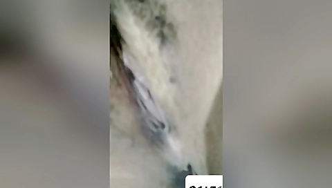 Nida Ali Pakistani Desi Girl Playing With Boobs And Wet Pussy