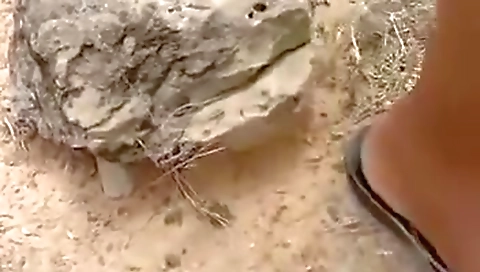 Today Exclusive- Village Mature Randi Blowjob