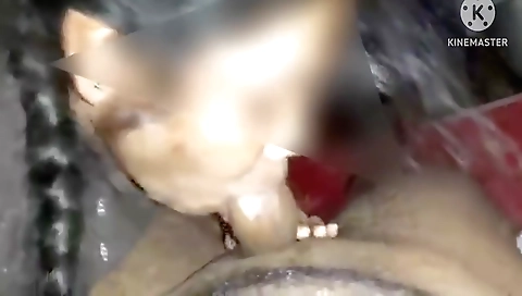 A Wonderful Blowjob Done By My Darling