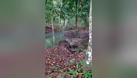 पार्कमा एबीको ठूलो धा कमेडी
