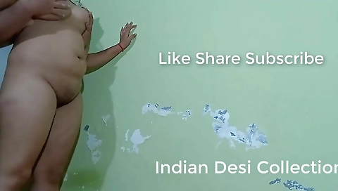 Desi Sex In Standing Position