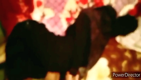 Burka Sex She Fucking By Me