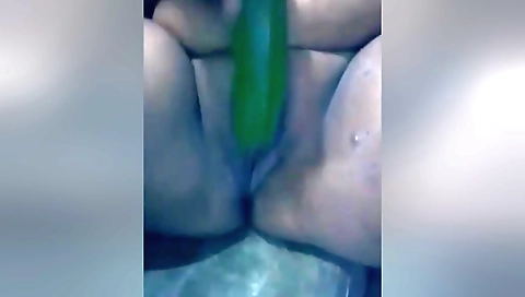 Desi Bhabhi New Xxxxx Videos New Bengali Sex Videos