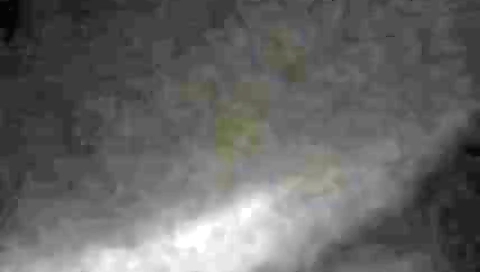 Free Porn Mms Clip Of Housewife Caught By Neighbor