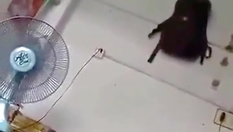 Today Exclusive- Horny Pak Wife Sucking Hubby Dick