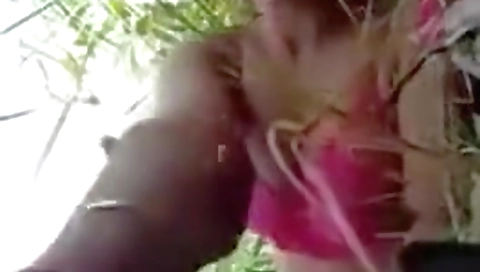 Bangladeshi Couple Outdoor Sex Video Online