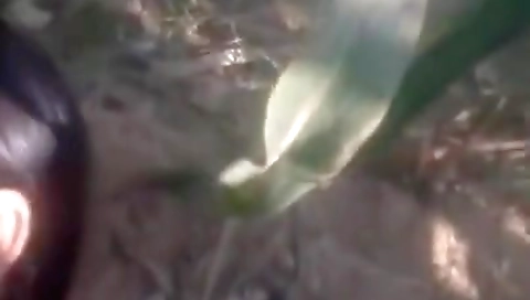 Latest Dehati Xxx Outdoor Sex Mms