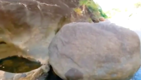 Excellent Adult Scene Handjob Crazy Unique