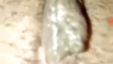 Today Exclusive- Desi Girl Showing Her Boobs And Pussy 2