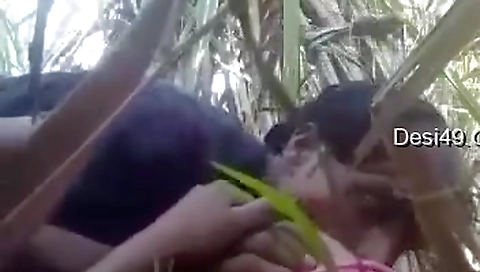 Exclusive- Desi Village Lover Boob Sucking And Outdoor Sex