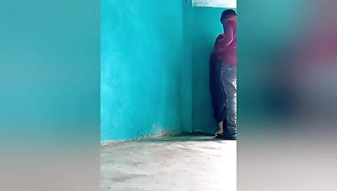 Desi Lover Standing Fucking